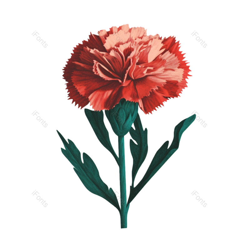 花朵背景图片,花朵素材元素,花朵边框PNG,免抠素材
